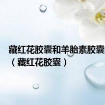 藏红花胶囊和羊胎素胶囊的区别(藏红花胶囊)