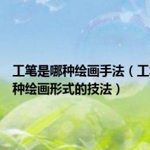 工笔是哪种绘画手法(工笔是哪种绘画形式的技法)