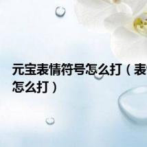 元宝表情符号怎么打（表情符号怎么打）