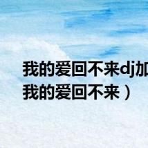 我的爱回不来dj加快（我的爱回不来）