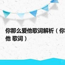 你那么爱他歌词解析(你那么爱他 歌词)