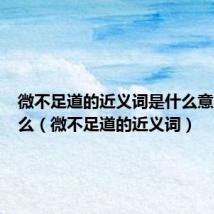 微不足道的近义词是什么意思是什么（微不足道的近义词）