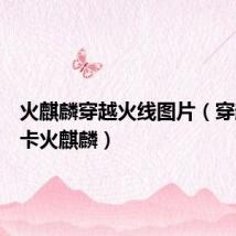 火麒麟穿越火线图片(穿越火线卡火麒麟)