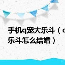 手机q宠大乐斗（q宠大乐斗怎么结婚）