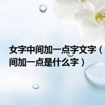女字中间加一点字文字(女字中间加一点是什么字)