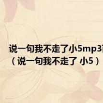 说一句我不走了小5mp3百度云(说一句我不走了 小5)