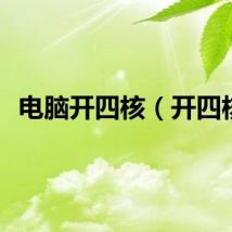 电脑开四核（开四核）