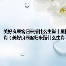美好良辰客归来指什么生肖十里扬州打一肖(美好良辰客归来指什么生肖)