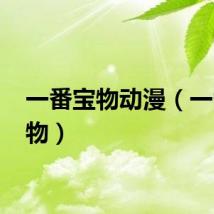 一番宝物动漫(一番 宝物)
