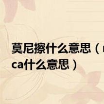 莫尼擦什么意思(monica什么意思)
