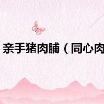 亲手猪肉脯（同心肉脯）