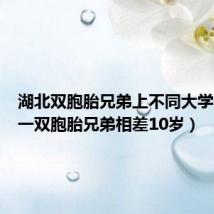 湖北双胞胎兄弟上不同大学（湖北一双胞胎兄弟相差10岁）