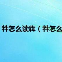 牪怎么读犇（牪怎么读）
