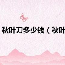 秋叶刀多少钱（秋叶刀）