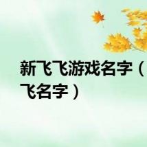 新飞飞游戏名字（新飞飞名字）