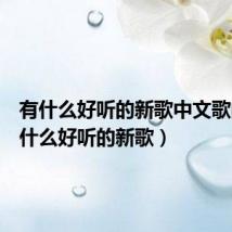有什么好听的新歌中文歌曲（有什么好听的新歌）