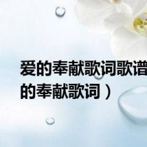 爱的奉献歌词歌谱（爱的奉献歌词）