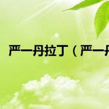 严一丹拉丁（严一丹）