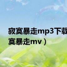 寂寞暴走mp3下载（寂寞暴走mv）