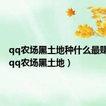 qq农场黑土地种什么最赚金币（qq农场黑土地）