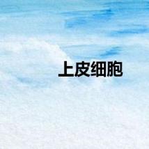 上皮细胞