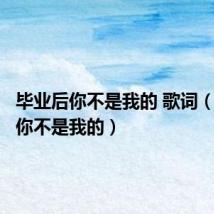 毕业后你不是我的 歌词(毕业后你不是我的)