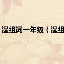 湿组词一年级（湿组词）