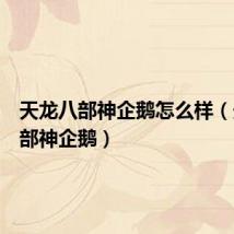 天龙八部神企鹅怎么样(天龙八部神企鹅)