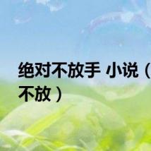 绝对不放手 小说（绝对不放）