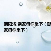 朝阳沟,亲家母你坐下（朝阳沟亲家母你坐下）