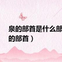 泉的部首是什么部（泉的部首）