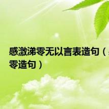 感激涕零无以言表造句(感激涕零造句)