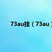 73au挂（73au）