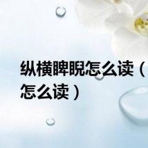 纵横睥睨怎么读（睥睨怎么读）