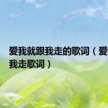 爱我就跟我走的歌词（爱我就跟我走歌词）