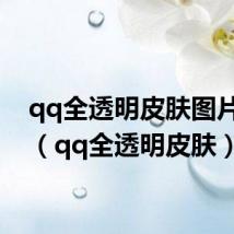 qq全透明皮肤图片大全（qq全透明皮肤）