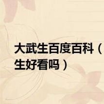 大武生百度百科（大武生好看吗）