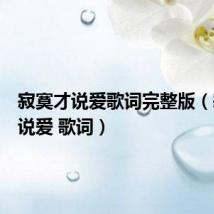 寂寞才说爱歌词完整版(寂寞才说爱 歌词)