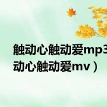 触动心触动爱mp3（触动心触动爱mv）