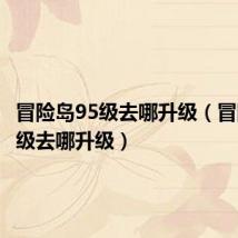 冒险岛95级去哪升级(冒险岛90级去哪升级)