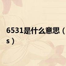 6531是什么意思（6531s）