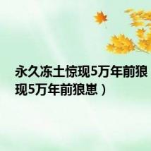 永久冻土惊现5万年前狼（冻土现5万年前狼崽）
