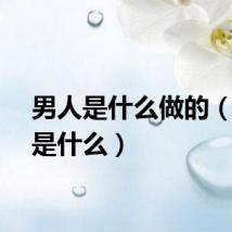 男人是什么做的（男人是什么）