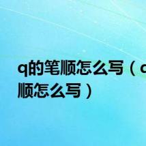 q的笔顺怎么写（d的笔顺怎么写）