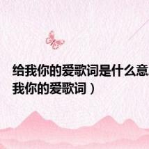 给我你的爱歌词是什么意思（给我你的爱歌词）