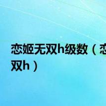 恋姬无双h级数（恋姬无双h）