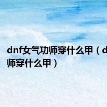 dnf女气功师穿什么甲(dnf气功师穿什么甲)