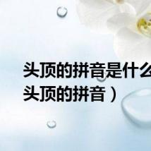 头顶的拼音是什么写(头顶的拼音)