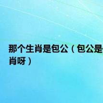 那个生肖是包公(包公是什么生肖呀)