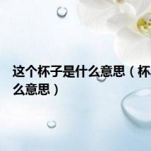 这个杯子是什么意思（杯具是什么意思）